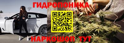 гидра Тверь