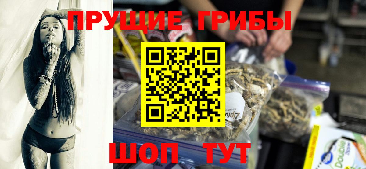 Новосибирск  Псилоцибиновые грибы мухоморы  Вход с VPN 